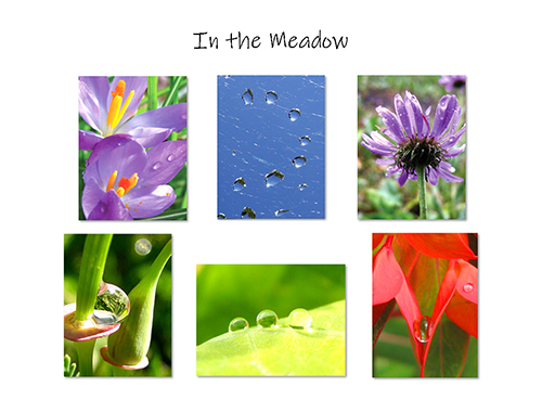 Springtime Greeting Card Collection by The Poetry of Nature